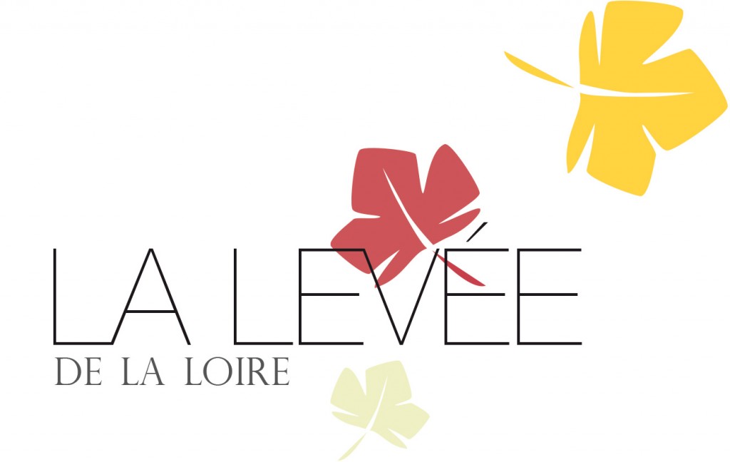 Global ID et maquette web responsive La Levée de la Loire